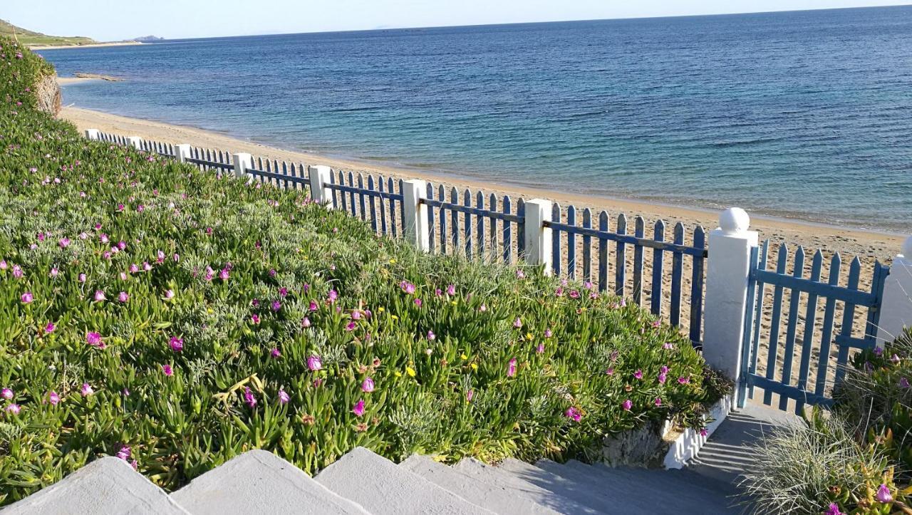 Anemos Seaside House Villa Szkírosz Kültér fotó